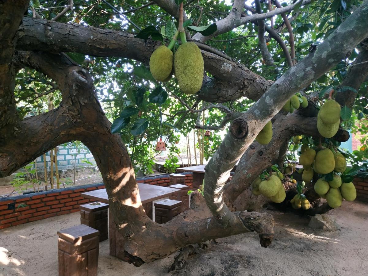 Sigiriya Cashew Palace Resort Daganapothaha Eksteriør bilde