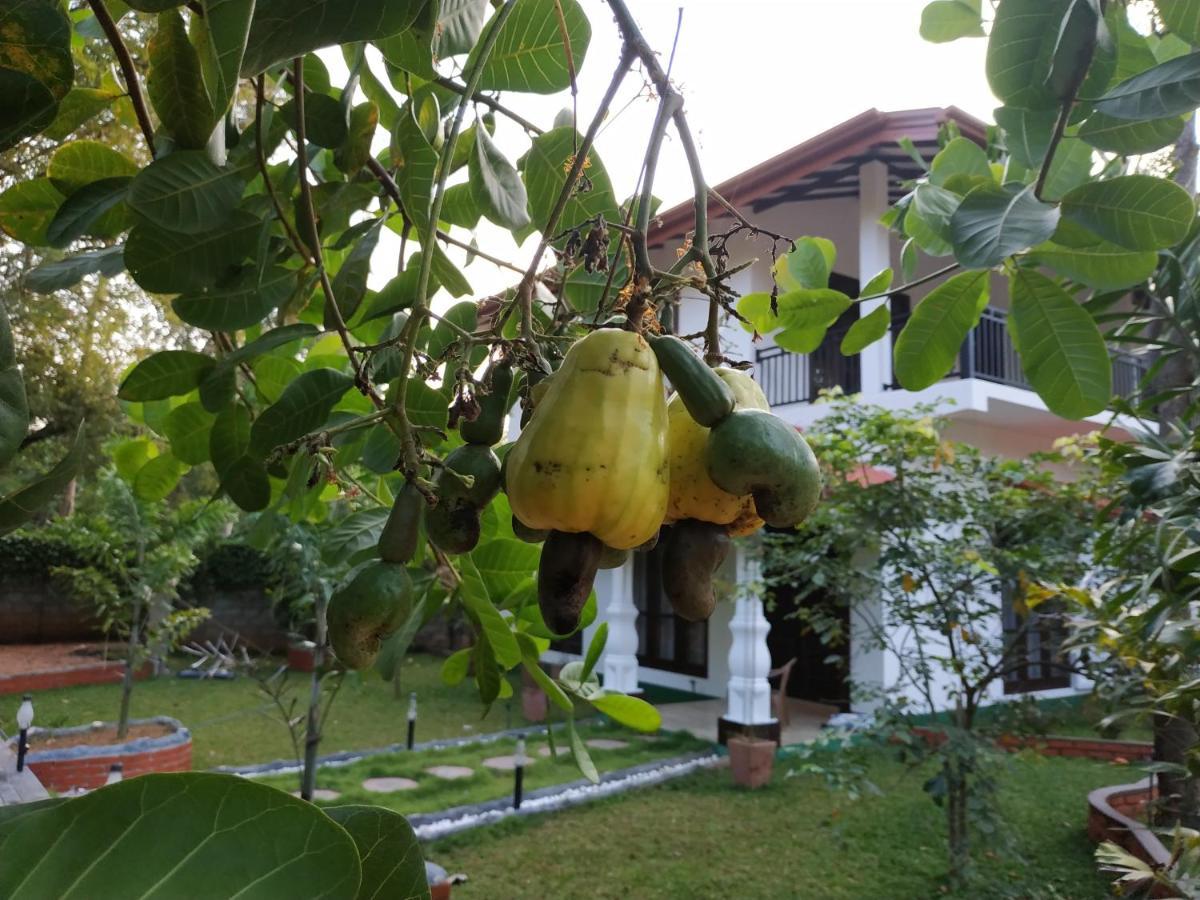 Sigiriya Cashew Palace Resort Daganapothaha Eksteriør bilde