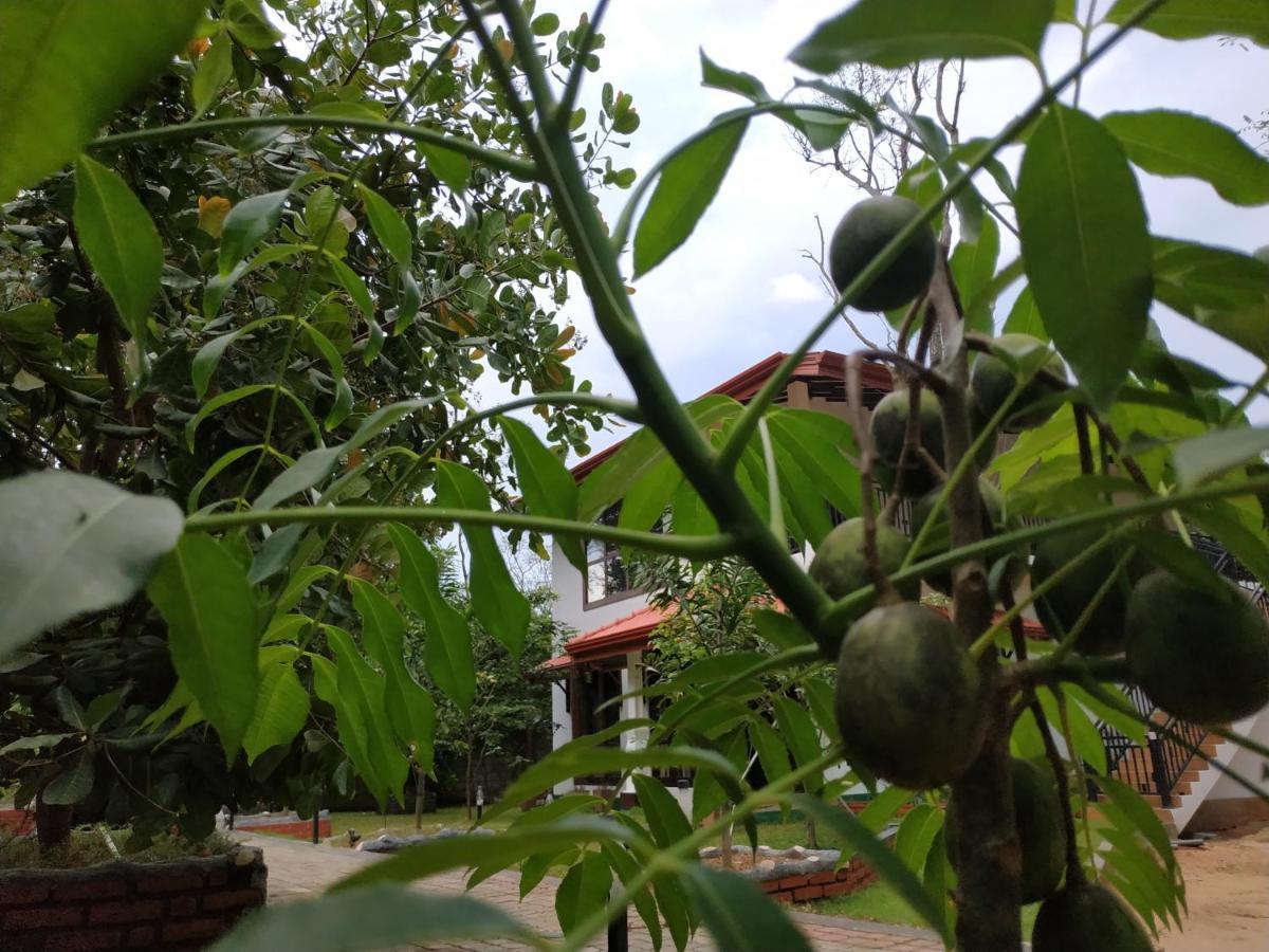 Sigiriya Cashew Palace Resort Daganapothaha Eksteriør bilde