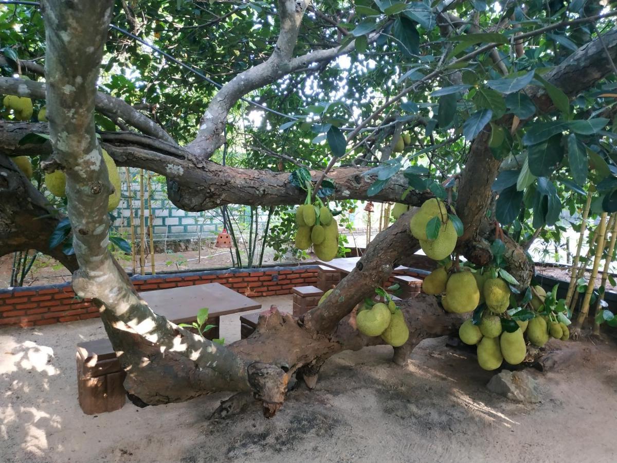 Sigiriya Cashew Palace Resort Daganapothaha Eksteriør bilde
