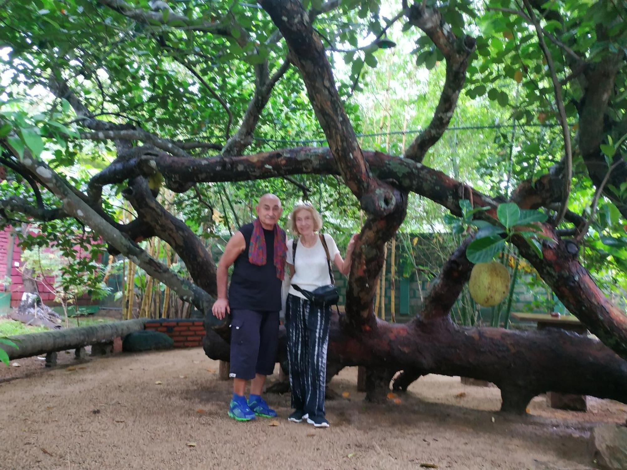Sigiriya Cashew Palace Resort Daganapothaha Eksteriør bilde