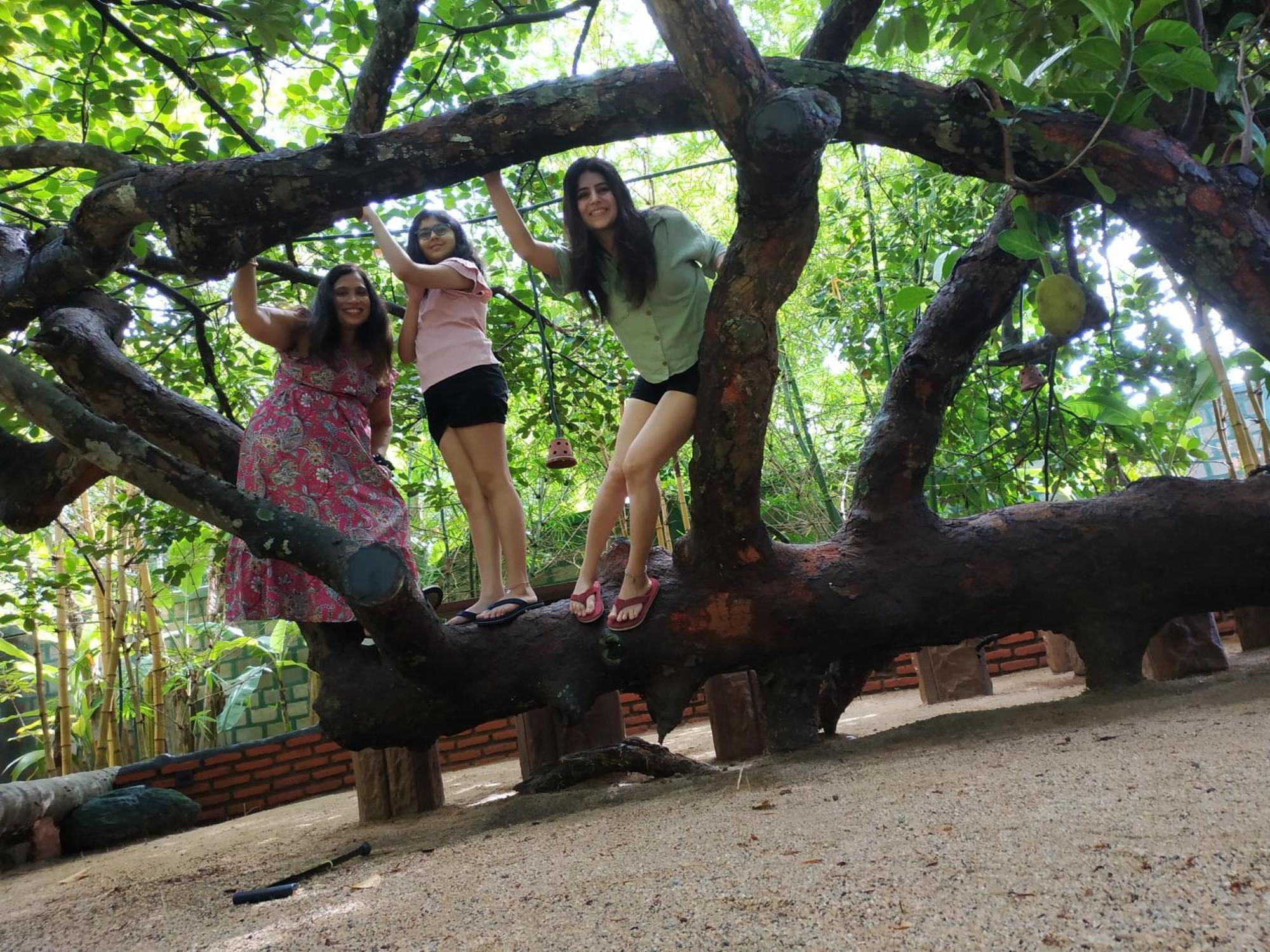 Sigiriya Cashew Palace Resort Daganapothaha Eksteriør bilde